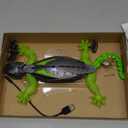 HEX BOTS Wall Crawler Gecko, Rechargeable Remote Control Robot Kids Toys, Climbs up Walls for Prank Toys & Games, RC Robot Toys for Boys & Girls Ages 4 & Up