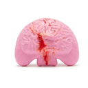 Brain-shaped rubber/silicone dog chew toy