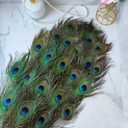 THARAHT 24pcs Peacock Feathers Natural Long in Bulk 30-32 inch(75-80 cm) for Floral Arrangements DIY Craft, Wedding Home Party Holiday Decoration Peacock Feathers