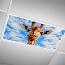 Light Covers for Ceiling Lights -Magnetic Cloud Cover LED Fixture 2ft x 4ft Classroom,Home,Office Decoration Filters Overhead Lighting- Giraffe