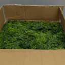 15FT Christmas Garland Norfolk Pine Garland Real Touch Artificial Greenery Garland for Mantle Fireplace Table Indoor Outdoor Holiday Decortions (Dark Green)