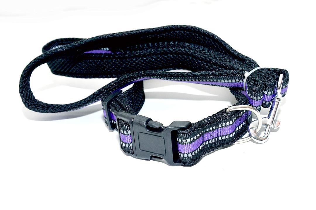 EcoBark Dog Leash - Soft & Reflective Comfort Training Leashes with Padded Handle - Strong Durable Heavy Duty - Training and Pulling for Small, Medium or Large Dogs (Purple)