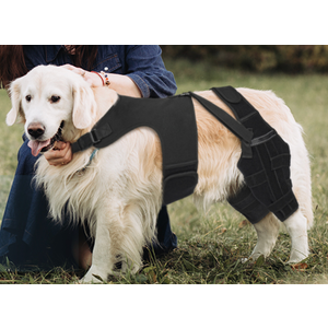 Pawfun Dog Knee Brace for Torn ACL Hind Leg, 122-XL-8