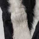 Casual Canine Lil' Stinker Dog Costume, X-Large (fits lengths up to 24"), Black/White