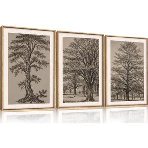 HOURIA Vintage Tree Sketch Framed Canvas Wall Art Set,Natural Brown and Gray Woodland Wall Decor,Mid Century Nature Forest Artwork,Textured Botanical Art Print for Living Room,Bedroom,Office-16"x24"x3