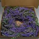 26'' Large Eucalyptus and Lavender Wreath for Front Door, Porch, Window- Artificial Eucalyptus Leaves with Lavender Wreath for Home, Farmhouse Wall Decor- Spring, Summer, Fall, All Seasons (Purple)