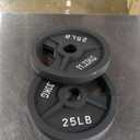 Signature Fitness 25Lb(Pair of 2) Cast Iron Plate Weight Plate for Strength Training and Weightlifting, Olympic or Standard
