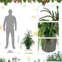 Artificial Topiary Plants Faux Tree Perfect Christmas Planter Filler Outdoor for Front Door,Indoor Outdoor,Farmhouse Home,Wall Window and Festival Wedding Decor (22 inch)