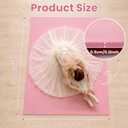 Portable Dance Floor, 4' x 6' Vinyl Dance Mat for Ballet Practice, Pink 5mm