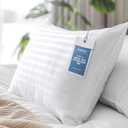 Hypoallergenic Side Sleeper Queen/Standard Pillow- Soft and Cooling - Hotel Quality Pillows with Cotton Cover Down Alternative Filling, Oeko-TEX Certified (Queen (Pack of 1))