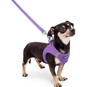 rabbitgoo Dog Harness and Leash Set, Step in Soft Light Puppy Vest, Breathable Mesh Pet Harness, Reflective for Outdoor Safe Walking, Purple (XXXS (chest: 10.8 - 11.8"))