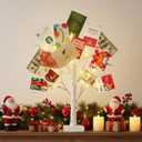 EAMBRITE Money Tree Gift Holder, Lighted Birch Tree 2FT 24LED, Battery/USB Powered Timer Light Up Display Twig Gift Card Tree with 6 Clear Clips and 6 Cards for Home Christmas Graduation Photo Memo