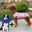 Xqpetlihai Recovery Suit for Dogs Dog Surgery Recovery Suit Female Dog Recovery Suit After Surgery Dog Surgery Recovery SuitSW-L (Large (Pack of 1), Sweet)