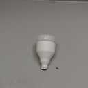 Smart Light (1 Count (Pack of 1))