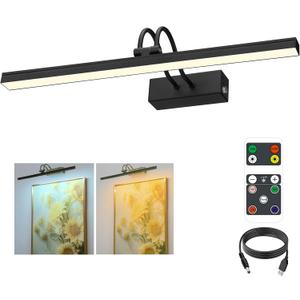 FUNCHDAY Dimmable Picture Light with Remote, 2 Colors Wireless Art Lights for Wall, 5000mAh Rechargeable Battery Gallery Pictures Lights, 16in Metal Display Light for Photo,Frame (Black) (15.9 Inches, Painted Black)