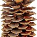Large Pine Cones for Crafts, 912 Inch Real Natural Sugar Pinecones, Set of 3 Large Decorative Pine Cones for Vase Filler, Holiday Dcor, Rustic Table Centerpieces, DIY Wreaths Natural
