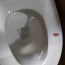 Smart Toilet with Bidet Built in, Dual Flush, Foam Shield, Manual Lid