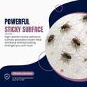 30-Pack Window Fly Traps for Indoor Use, Clear Sticky Strips for Windows, Transparent Fly Catcher for Home, Strong Adhesive Fly Trap for Houseflies and Ladybugs