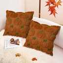 Fall Pumpkin Decorative Throw Pillow Covers 18 x 18 Set of 2, Thanksgiving Day Autumn Harvest Pumpkin Faux Fur Cushion Covers, Soft Embroidered Pillow Cases for Couch Bedroom Holiday Home Decor