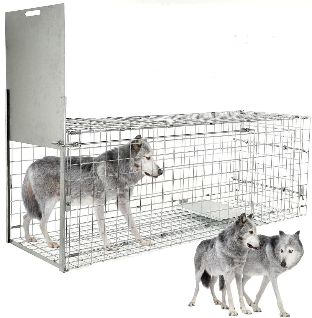 57 Collapsible Large Live Animal Trap, Easy to Set and Release Live Animal Traps for Dogs, Foxes, Coyotes, Bobcats and Other similarly Sized Animals up to 55 lbs