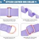 Soft Leather Martingale Dog Collar - Adjustable Rose Gold Limited Slip Collars [Easy to Clean], Stylish Durable Heavy Duty Nylon No Pull Training Collar for Dogs (XS, Set Purple)