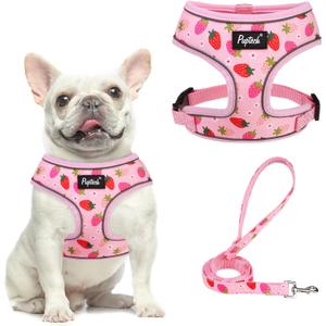 PUPTECK Soft Mesh Dog Harness and Leash Set Pet Puppy Cat Comfort Padded Vest No Pull Harnesses, Strawberry Pink, M