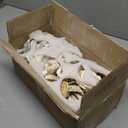 YOUKE OLA 50PCS Oyster Shells 3"-4" Oyster Shells Bulk Oyster Shells for Home Decor Vase Filler, Ornaments, DIY Arts and Crafts Sea Shells, Deeper Shells