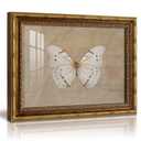 VIYYIEA 13x16 Inch Glass Gold Framed Wall Art, Vintage White Butterfly Wall Decor, Minimalist Butterfly Canvas Painting, Home Decor for Living Room Bedroom and Office