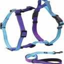 Roses&Poetry Puppy Dog Harness and Leash Set, No Pull Dog Harness Adjustable Reflective, Dog Halter Harnesses Comfort Padded Handle, Pet Harness for Training Outdoor Walking Gsky-XS (Violet)