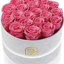 Gifts for Women Preserved Roses Flower Box, Luxury Velvet Box with 20 Roses, Preserved Flowers, Romantic Gift for Her, Wife, Girlfriend, Birthday Anniversary Christmas (Pink)