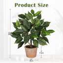 Fake Plant 13" Small Artificial Ficus Plant Faux Ficus Plants Banyan Tree with Rustic Terracotta Pot Silk Plants for Home Decor Indoor Office Living Room Bedroom Shelf Table Centerpieces