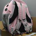 Lollimeow Cat Carrier Backpack, Expandable Bubble Pet Carrier for Cats and Small Dogs, Airline Approved Travel Backpack for Hiking, Walking & Outdoor Adventures - Supports up to 16 lbs