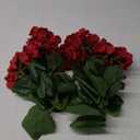 Mumiko 2PCS 18'' Artificial Geraniums Silk Flowers Plants Home Outdoor Decor Garden Ruby Red
