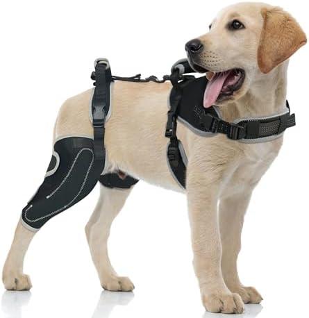 LISPOO Dog Knee Brace for Torn ACL/CCL Hind Leg,Adjustable Support with Sufficient Wrapping and Support & Luxating Patella,Non-Slip Joint Brace,Pain Relief&Better Recovery-Right Leg-Upgraded/L