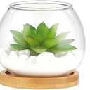 Mkono Artificial Succulent in Clear Glass Pot, 3 Mini Potted Fake Plants for Women Office Decor Small Faux Green Plant with BambooTray for Bookshelf Bathroom Kitchen Tabletop Centerpiece