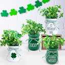 4 Pcs St Patricks Day Mini Jars with Artificial Shamrock MIni Vase Fake Shamrock Clover for St Patricks Day Party Fireplace Table Kitchen Decor 3"L x 2.1"W x 3"H
