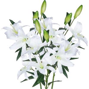 Lily Artificial Flowers Bulk 30 Long Stems 12 Silk Flower Heads Bouquet Wedding Decoration Indoor Home Decor DIY Floral Crafts Table Centerpiece Mothers Day Gift, 3pcs (White)