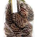 ANDALUCA Pinecone Vase & Bowl Fillers | Scented Pine Cones Decor (Natural)