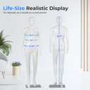 SereneLife Female Full Body Mannequin 68.9" Adjustable Dress Form with 360 Rotating Head, Realistic Face, Detachable Limbs, No-Tool Assembly, Durable PP Build with Metal Base for Clothing Display