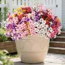 24 Pack of Artificial Flowers for Indoor and Outdoor Use, UV Resistant Simulated Violet Flowers, Silk Flowers, Colorfast, Outdoor Front Porch Window Frames Garden Patio Decoration (Mixed)