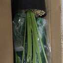 Guheake 28" Fake Plants Large, Artificial Floor Faux Monstera Plant with Planter for Home Office Decor Indoor