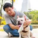 2 x 110 Pack Pet Grooming Wipes - Large & Extra-Large Sizes - Lavender, Aloe, & Unscented Variations - Hypoallergenic & Extra Durable - Perfect for Dogs & Cats, 8.6"x7.8"