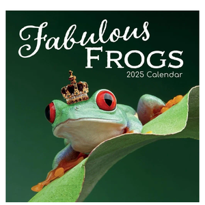 Fabulous Frogs 2025 Wall Calendar
