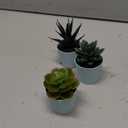Artificial Succulents Set of 3 Mini Realistic Fake Plants with Plastic Pots for Home and Office Decoration, 4in (H) x 3in (W)-Baby Blue Pot