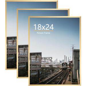 18x24 Picture Frame Gold 3 Pack, Gold Poster Frames 18 x 24 for Wall, Horizontal or Vertical Wall Mounting