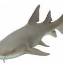 Safari Ltd. Nurse Shark Figurine - Lifelike 5.5" Model Figure - Educational Toy for Boys, Girls, and Kids Ages 3+