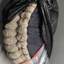 BALANCE Luxury Donut Dog Bed, 30 Inches Round Dog Bed Medium Size Dogs Washable, Orthopedic Calming Dogs Bed for Pets with Anti-Slip Bottom, Oatmeal