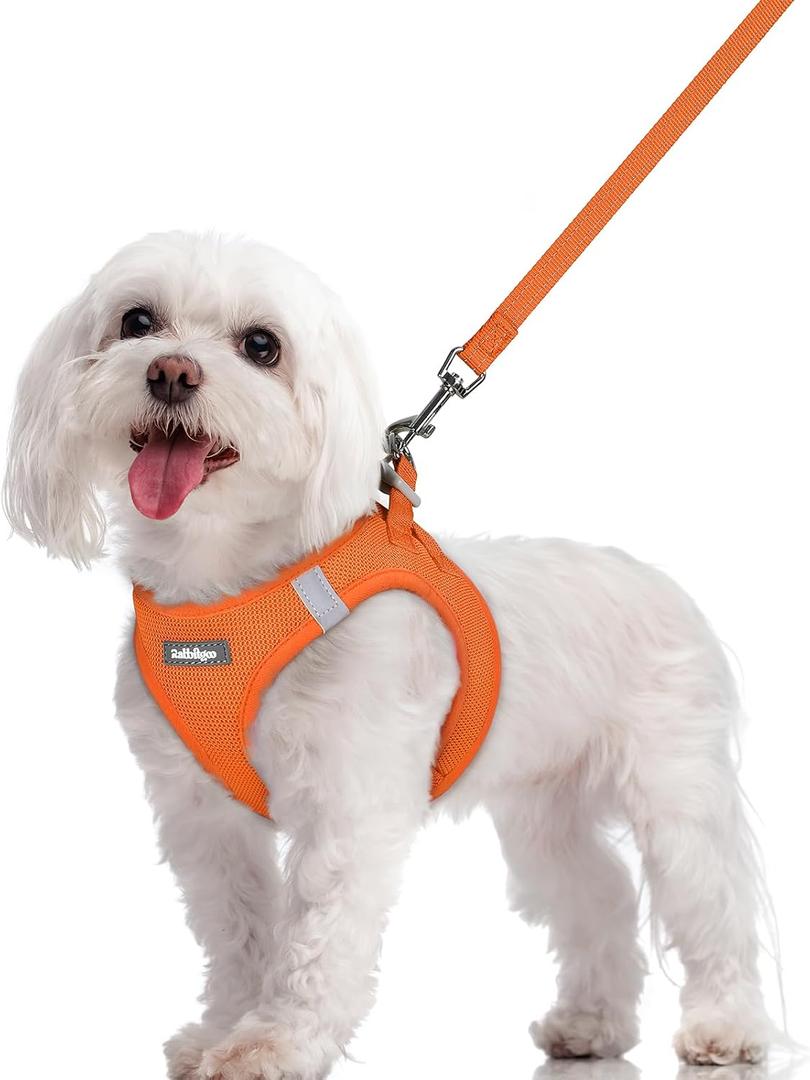 Rabbitgoo Dog Harness Small Sized and Leash Set, Step in Soft Light Puppy Vest, Breathable Mesh Pet Harness, Reflective for Safe Easy Walking, Orange M