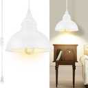 Plug in Pendant Light, 15FT Hanging Lights, On/Off Switch, Industrial Pendant Light with Plug in Cord, Metal Hanging Lamps for Living Room, Kitchen, Dining Room White