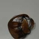 Clip on Bangs for Women Hair Clip in Bangs 100% Human Hair #08 Air Wispy with Temples Hairpieces